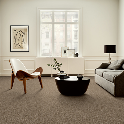 brown carpet in living space area