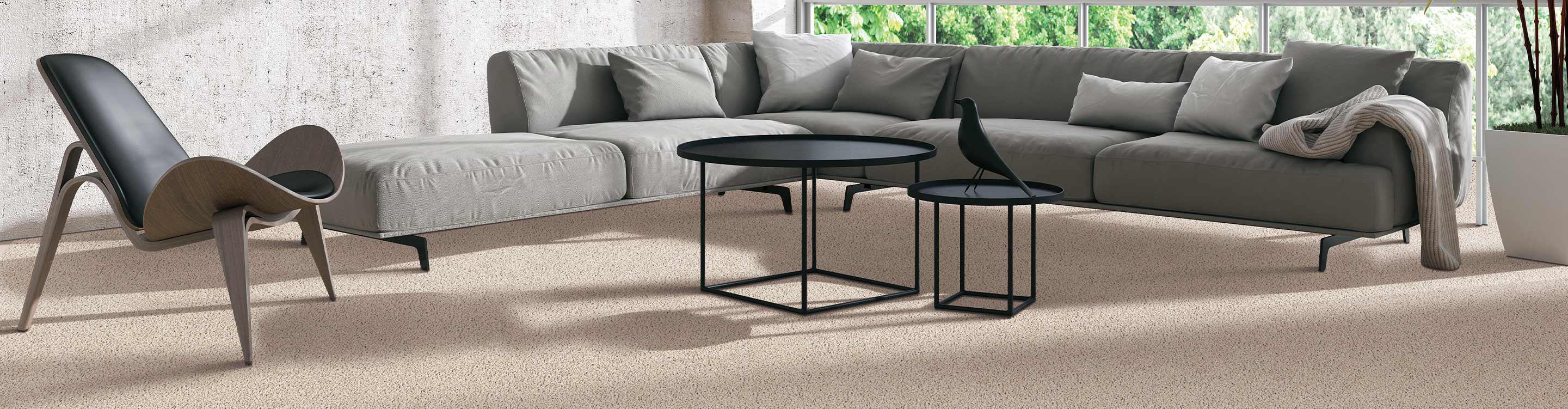 carpet in living room